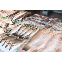 Tradicional Feira do Peixe acontece em Campo Largo na Semana Santa